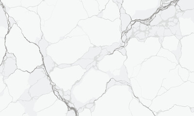 Obraz premium White marble texture with gray veins