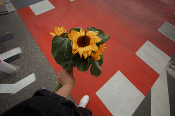 Young woman holds a bouquet of sunflowers in her hand on the  bright red pedestrian crossing background.