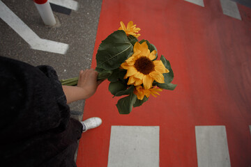 Young woman holds a bouquet of sunflowers in her hand on the  bright red pedestrian crossing background.