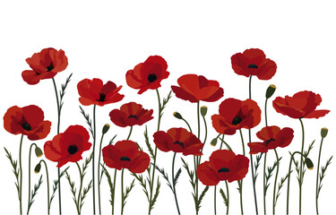 Simple art vector of Poppy, with simple color, on a white background, Vector illustration