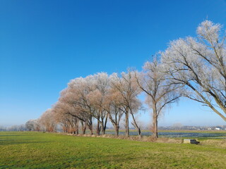 Wiese, Baum, Himmel, Natur, Frost, Landschaft, Winter