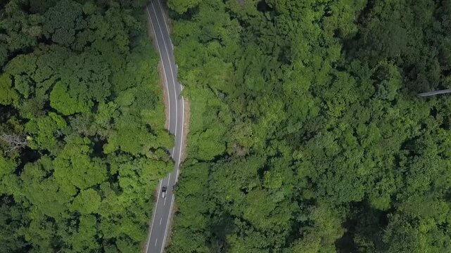 Aerial view of Bukit Barisan Selatan National Park, protecting Sumatra&rsquo;s tropical rainforest and rich biodiversity with dense jungle canopy and natural landscape.