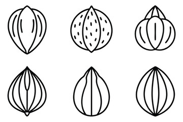 hazelnut line art drawing with elegant minimalist features