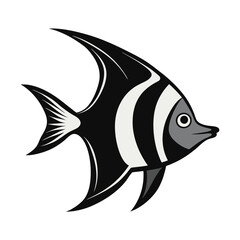 Black and White Striped Fish