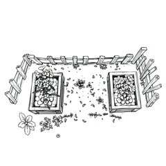 High contrast, low-key lighting black and white hand-drawn sketch of an organic vegetable garden from an overhead perspective