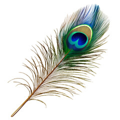 Photorealistic peacock feather clip art on a transparent background PNG