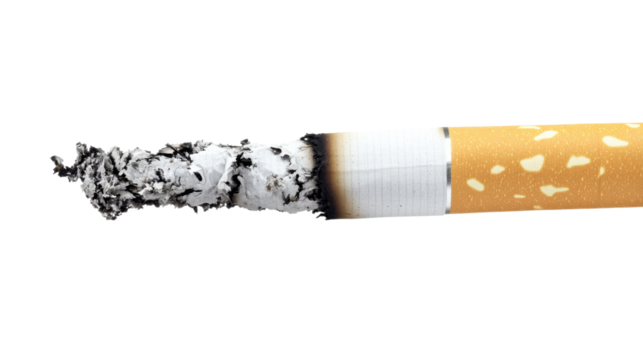 Smoking cigarette close up: The smoldering end of a cigarette, a visual representation of a harmful habit and a call for conscious choice and better health.