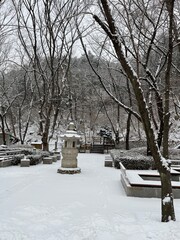 bench in the snow