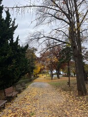 path in autumn park