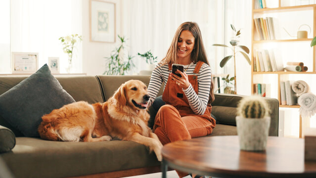 Smartphone, relax and woman on sofa with dog for bonding, reading or social media scroll at home on day off. Phone, smile and female person in living room with golden retriever, love and search