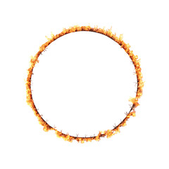 Fototapeta premium fire ring isolated on white background