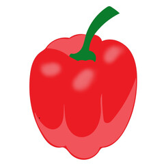 red capsicum isolated on white background cooking ingredient vegetable.eps