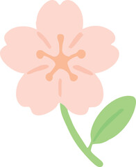 Simple pink flower cherry blossom illustration
