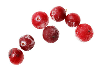 A row of red berries with a white background