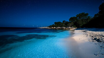 Fototapeta premium Serene night at a tropical beach. Starry sky reflects on tranquil waters.