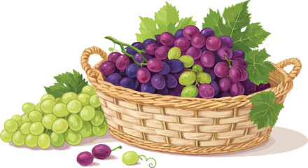 Grapes Illustration vector design, Grapes in wicker basket in white background vector design
