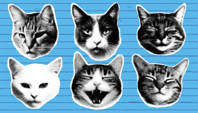 Happy Cat Collage Set with Blue Halftone Meme Art Featuring Retro and Vintage Pop Aesthetic. Funky and Cute Bundle for Pet Lovers and Contemporary Design Fans.