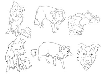 Border Collie Illustration Set – Pack of 6