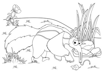 Coloring Anteater Animal Cartoon For Kids