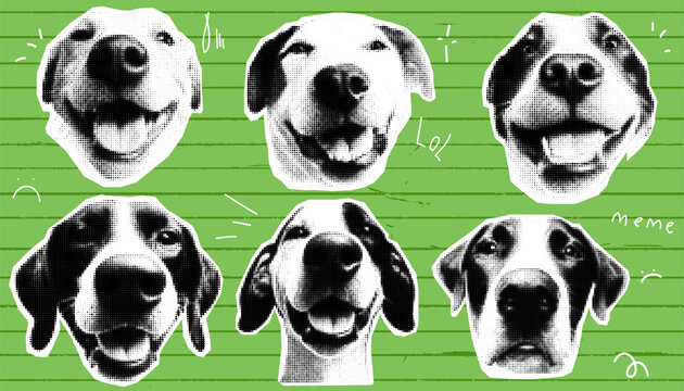 Vintage-inspired collage of green halftone paper with a cute dog, perfect for a funky retro meme. This groovy pet kit art creates a surreal pop art sticker effect