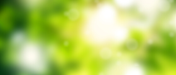 Fototapeta premium Green background to use graphics advertising