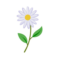 Elegant Daisy Flower on Black Background Illustration, Cartoon Style