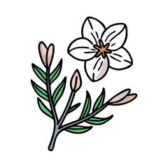 Botanical sketch of flowers and leaves on black background