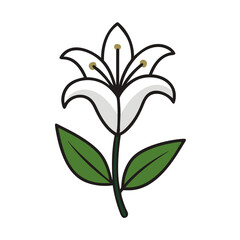 Stylized black and white lily flower on black background