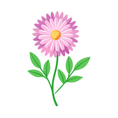 Delicate pink daisy flower with green leaves illustration
