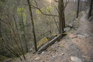 Scenic forest hiking trail with rocky path and evening sunlight through trees. Peaceful mountain landscape, perfect for trekking, nature, and travel concepts.