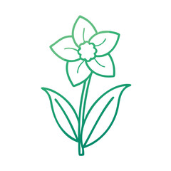 Elegant green daffodil outline illustration on black background