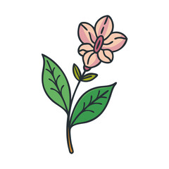 Cute cartoon flower with leaves on black background