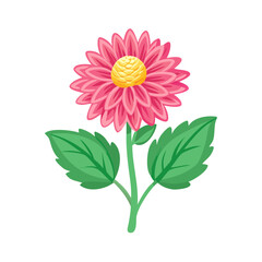 Cute pink dahlia flower illustration on black background