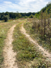 A dirt road in a field with trees in the background