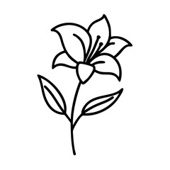 Black Screen Illustration for Backgrounds and Graphic Design