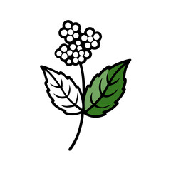 Single green leaf illustration on black background design.