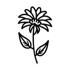 Solid Black Background Texture for Mockups or Design