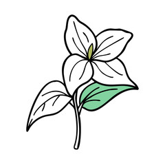 Minimalist Leaf and Bud Illustration on Black Background