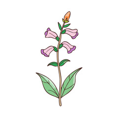 Cartoon-style Foxglove flower illustration with purple and green