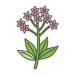 Pink Flower Cartoon Vector Illustration on Black Background