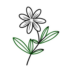 Minimalistic Dandelion with Green Leaves Illustration on Black