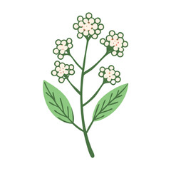 Delicate White Flower Sprig on Black Background Illustration