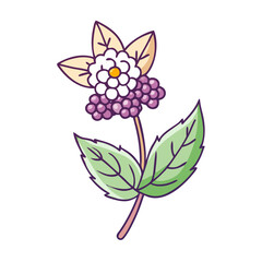 Cute cartoon style flower with purple berries illustration