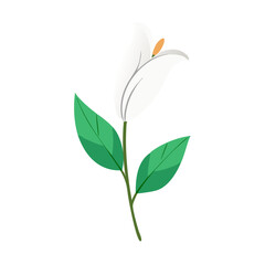 Elegant white lily with green leaves illustration art