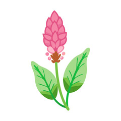 Cartoon Polygonum Bistorta Flower Illustration on Black Background