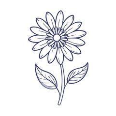 Elegant Daisy Flower Line Art on Black Background