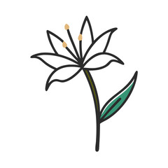 Elegant minimalistic black flower illustration on black background