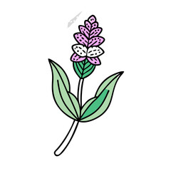 Stylized Pink and White Flower Illustration on Black