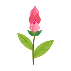 Vector Pink Flower Illustration on Black Background Art