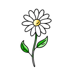 Minimalist Line Art Flower on Black Background Illustration
